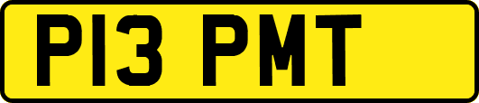 P13PMT