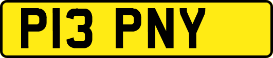 P13PNY