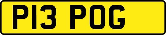 P13POG