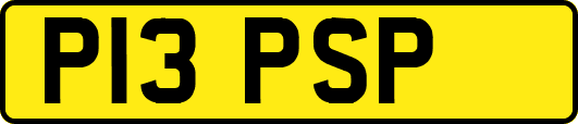 P13PSP
