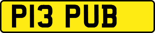 P13PUB