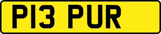 P13PUR