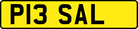 P13SAL