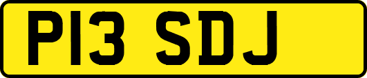 P13SDJ