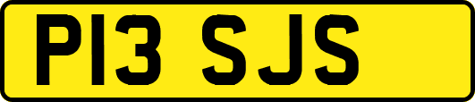 P13SJS