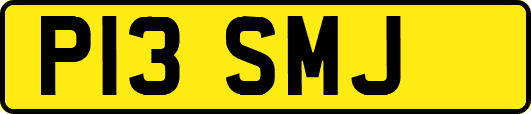 P13SMJ