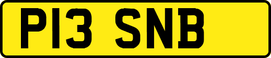 P13SNB
