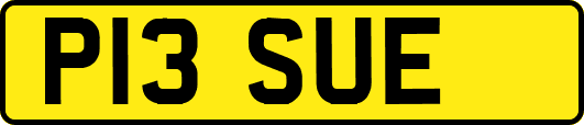 P13SUE