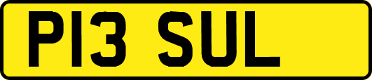P13SUL