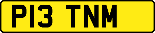 P13TNM