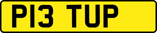 P13TUP