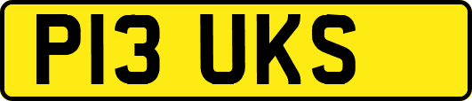 P13UKS