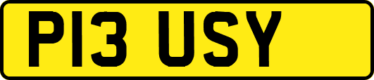 P13USY