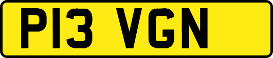 P13VGN