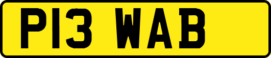 P13WAB