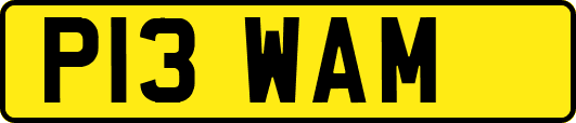 P13WAM