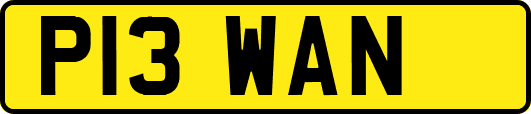 P13WAN