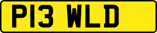 P13WLD