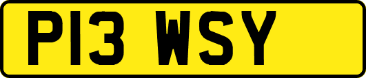 P13WSY