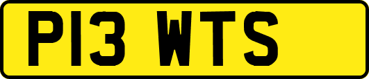 P13WTS