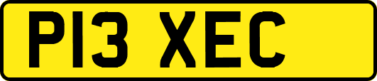 P13XEC