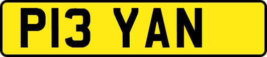 P13YAN