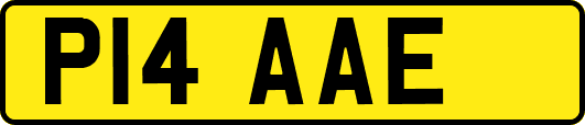 P14AAE