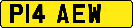 P14AEW