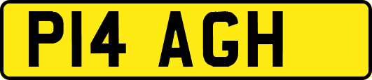 P14AGH