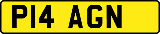 P14AGN