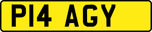 P14AGY