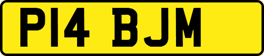 P14BJM