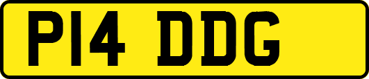 P14DDG