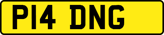 P14DNG
