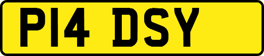 P14DSY