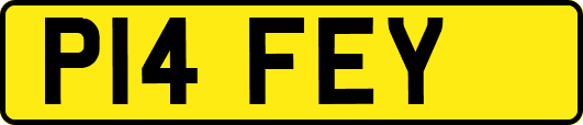 P14FEY