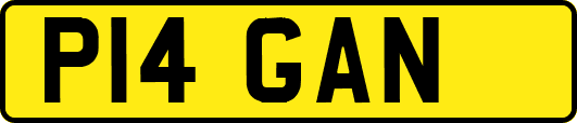 P14GAN