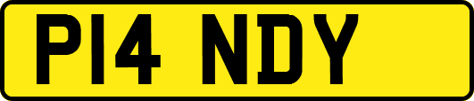 P14NDY
