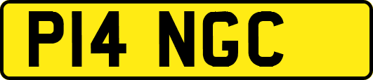 P14NGC