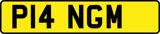 P14NGM
