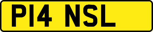 P14NSL