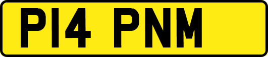 P14PNM