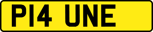 P14UNE
