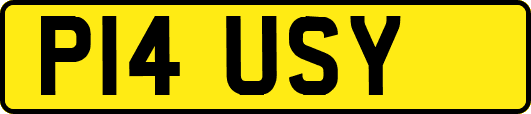 P14USY