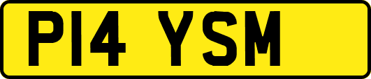 P14YSM