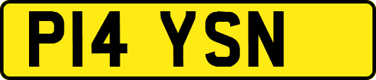 P14YSN