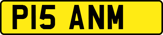 P15ANM
