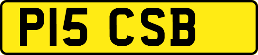P15CSB