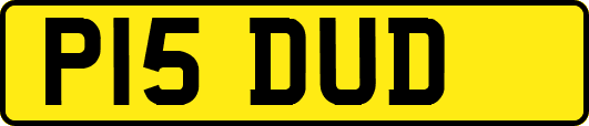 P15DUD