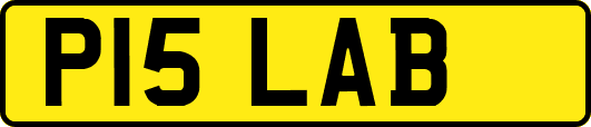 P15LAB
